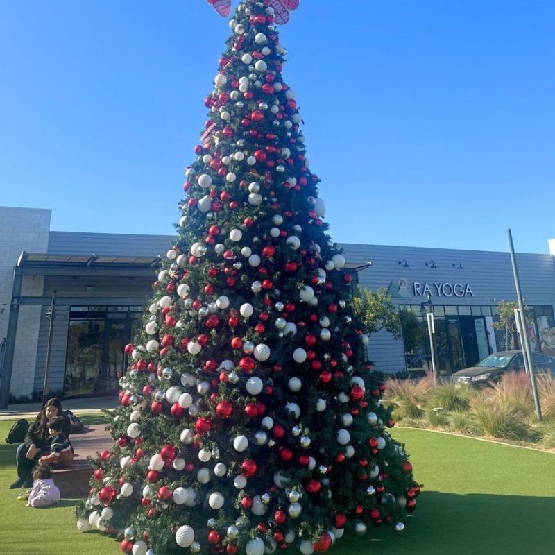 20ft Frame pre-decorated Cool White 5MM Twinkle - Trees