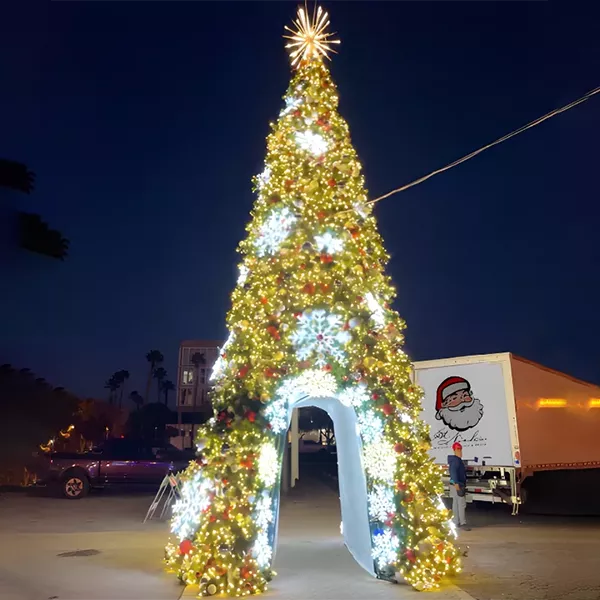 30ft-Walkthrough-Frame-Tree-Undecorated-2