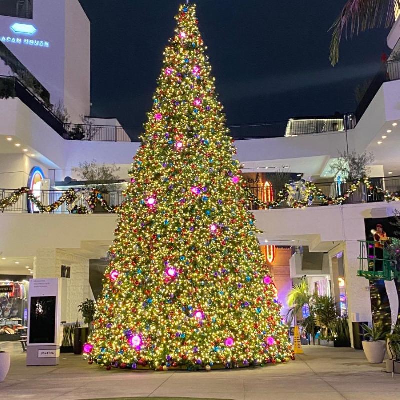 Pre-Decorated Frame with and Ornaments 30FT - Trees