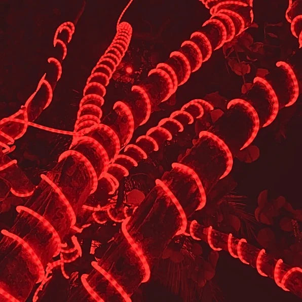 RedLED_Rope_Light_38_150FT_Roll_8