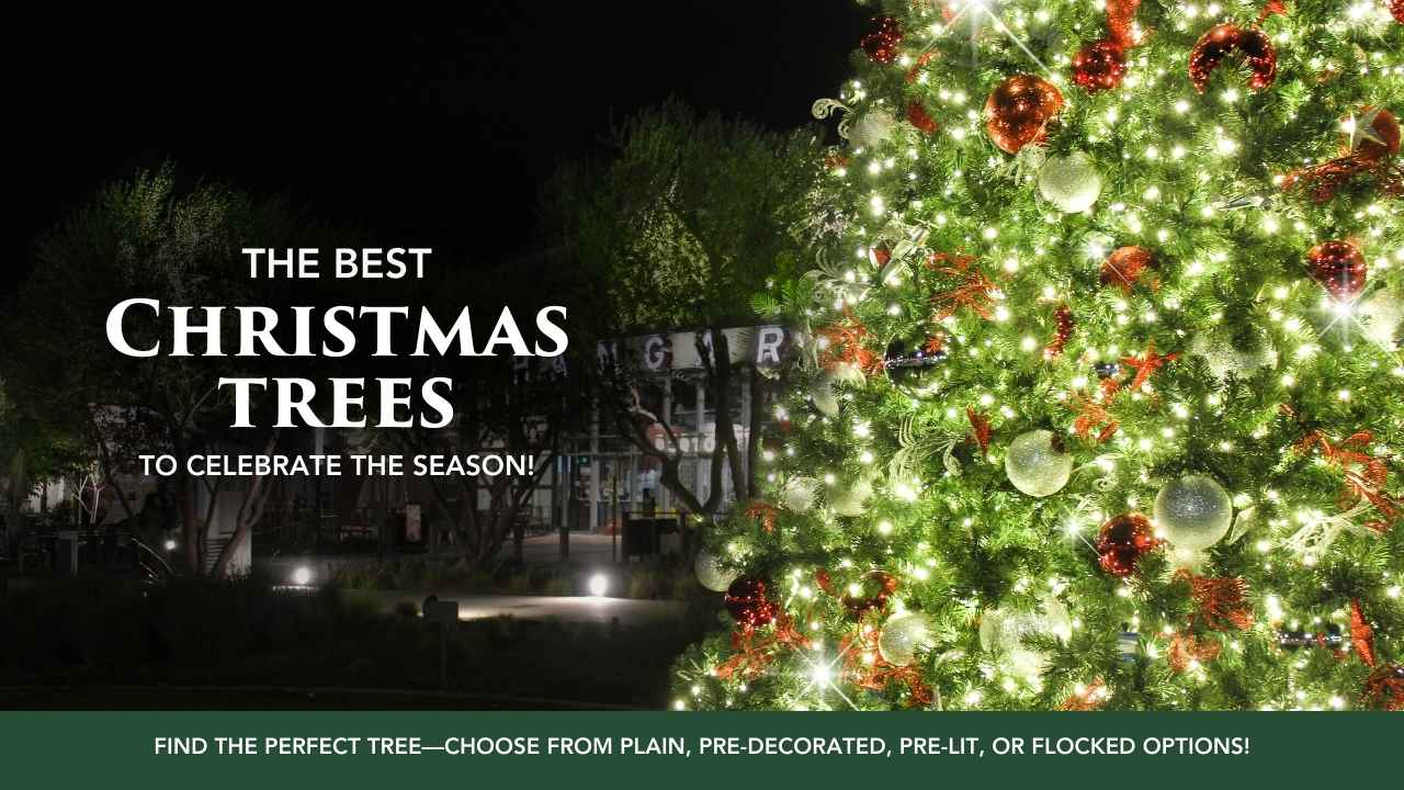 best-deals-christmas-trees-01