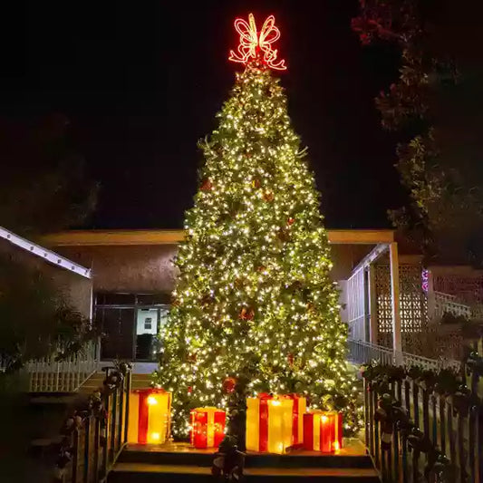 christmas-frame-tree-amber-warm-white-cool-white-led-twinkle-red-burgundy-and-gold-pre-decorated-20ft-02