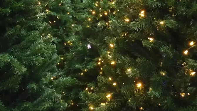 Load video: st-nicks-christmas-mini-lights