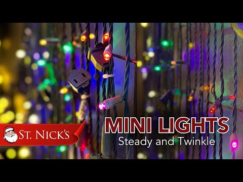 5MM Steady Twinkle LED Mini Lights 